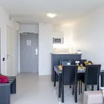 Rent 4 bedroom apartment of 33 m² in Toulouse