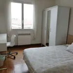 Rent a room in pamplona