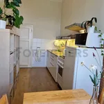 Rent 1 bedroom apartment of 59 m² in Brno