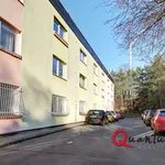 Rent 1 bedroom apartment in Capital City of Prague