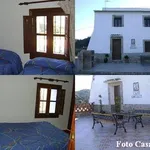 Rent 1 bedroom apartment in Malaga']