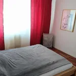 Rent 2 bedroom apartment of 60 m² in Berlin