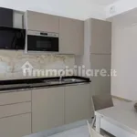 Penthouse viale Vincenzo Monti 43A, Alba Mare, Riccione