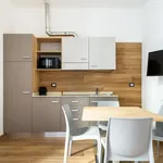 Rent 1 bedroom apartment in Bologna