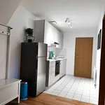 Rent 1 bedroom apartment of 55 m² in Chemnitz