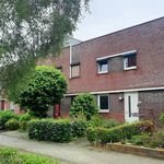 Rent 4 bedroom house of 95 m² in Limbrichterveld