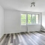  appartement avec 1 chambre(s) en location à Montreal