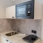 Rent 1 bedroom apartment of 35 m² in Málaga