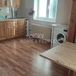 Rent 1 bedroom apartment of 50 m² in Plzeň