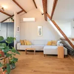 Rent 2 bedroom apartment of 125 m² in Amsterdam