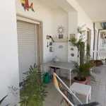 Rent 1 bedroom apartment of 120 m² in Bacoli