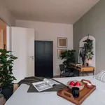 Rent 1 bedroom apartment of 63 m² in berlin