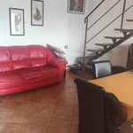 Rent 3 bedroom apartment of 90 m² in Cefalù