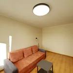 Rent 1 bedroom apartment of 33 m² in Vilnius