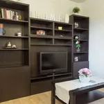 Rent 1 bedroom apartment of 47 m² in madrid