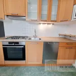 Rent 4 bedroom apartment of 80 m² in Prague