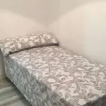 Rent a room in alicante