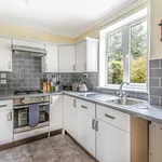 Rent 4 bedroom house in Winchester