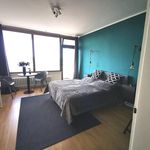 Rent 1 bedroom apartment of 37 m² in Essen