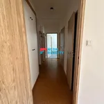 Rent 2 bedroom apartment of 58 m² in Ostrava