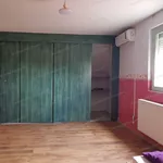 Rent 4 bedroom house of 95 m² in Kecskemét