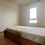 Rent a room of 80 m² in lisbon