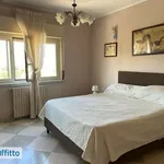 Rent 4 bedroom apartment of 110 m² in Palermo