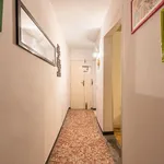 Rent 1 bedroom apartment in Florence