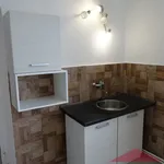 Rent 3 bedroom apartment in Velhartice