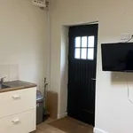 Rent 1 bedroom apartment of 50 m² in dublin