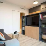 Rent 1 bedroom apartment of 28 m² in Milan