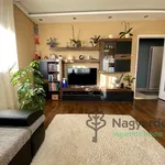 Rent 2 bedroom apartment of 60 m² in Debrecen