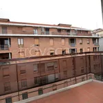 Rent 4 bedroom apartment of 90 m² in Biella