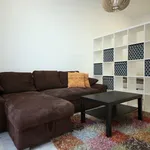 Rent 1 bedroom apartment of 45 m² in Prague