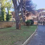 Rent 3 bedroom apartment of 91 m² in Roma