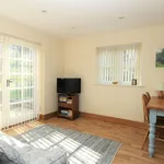 Rent 1 bedroom apartment in Basingstoke and Deane