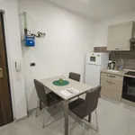 Rent 1 bedroom apartment of 40 m² in bologna