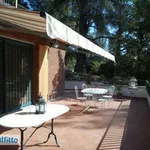 Rent 3 bedroom house of 80 m² in Bologna