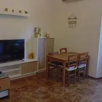 Rent 4 bedroom apartment of 100 m² in Rome