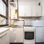 Rent 1 bedroom apartment of 40 m² in City of Zagreb