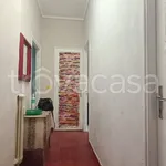 Rent 3 bedroom apartment of 65 m² in Torino