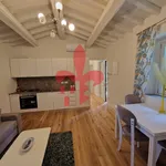 Rent 4 bedroom house of 100 m² in Firenze