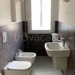 Rent 1 bedroom apartment of 100 m² in Mantova