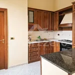 Rent 3 bedroom apartment of 84 m² in Naples