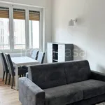 Rent 2 bedroom apartment of 50 m² in Milano