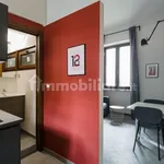 Rent 1 bedroom apartment of 20 m² in Turin