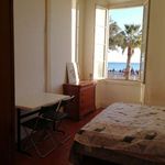 Rent a room in nice