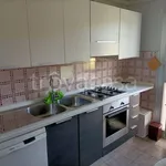 Rent 4 bedroom apartment of 110 m² in Parma