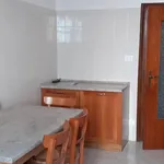 Rent 5 bedroom apartment of 100 m² in Bologna