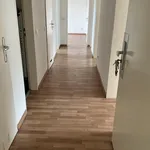 Rent 4 bedroom apartment of 75 m² in Siegen